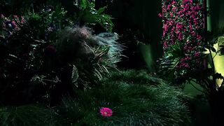 Batfuck Ravages Poison Envy's Slutty Nymphs, Filling Their Holes with Cock
